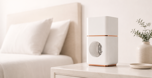 How Memory Air Works and What to Expect