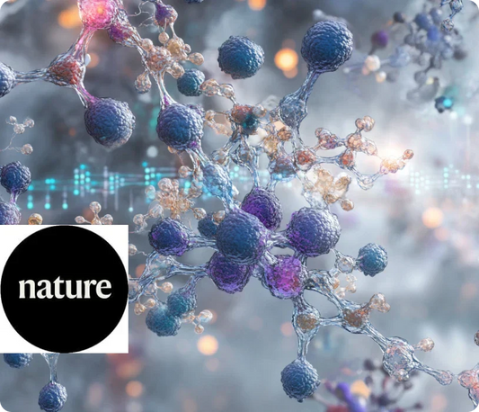 Exposure to a Wide Variety of Scents Builds New Brain Cells