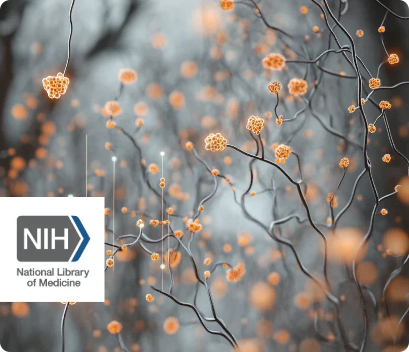 Olfactory Enrichment builds New neurons