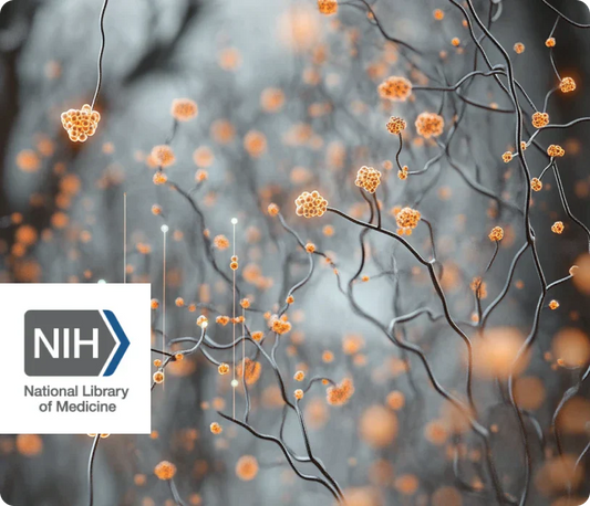 Olfactory Enrichment builds New neurons