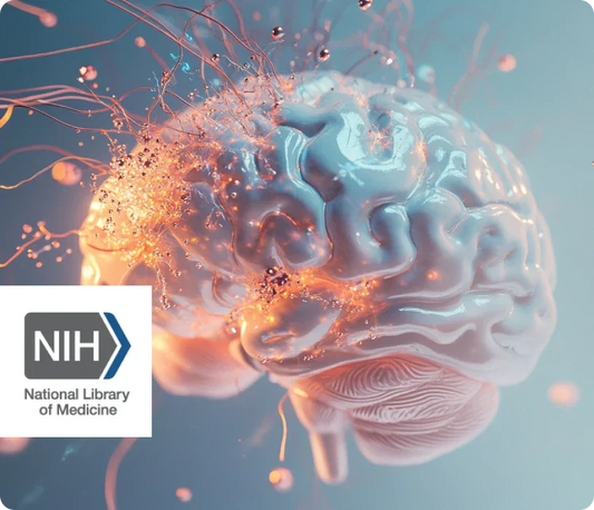 Scent Training Improves Learning and Memory
