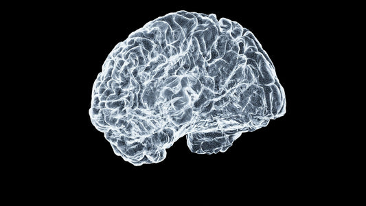 How Your Brain Cleans Itself at Night, and Why Your Nose Is Part of It